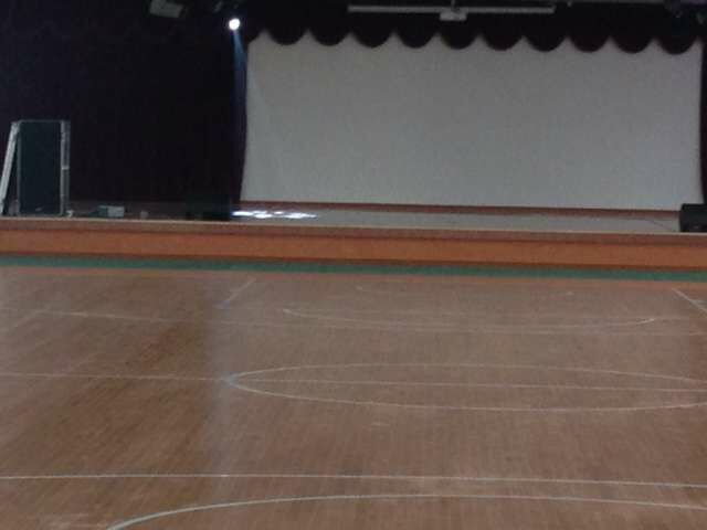 運動木地板 運動木地板