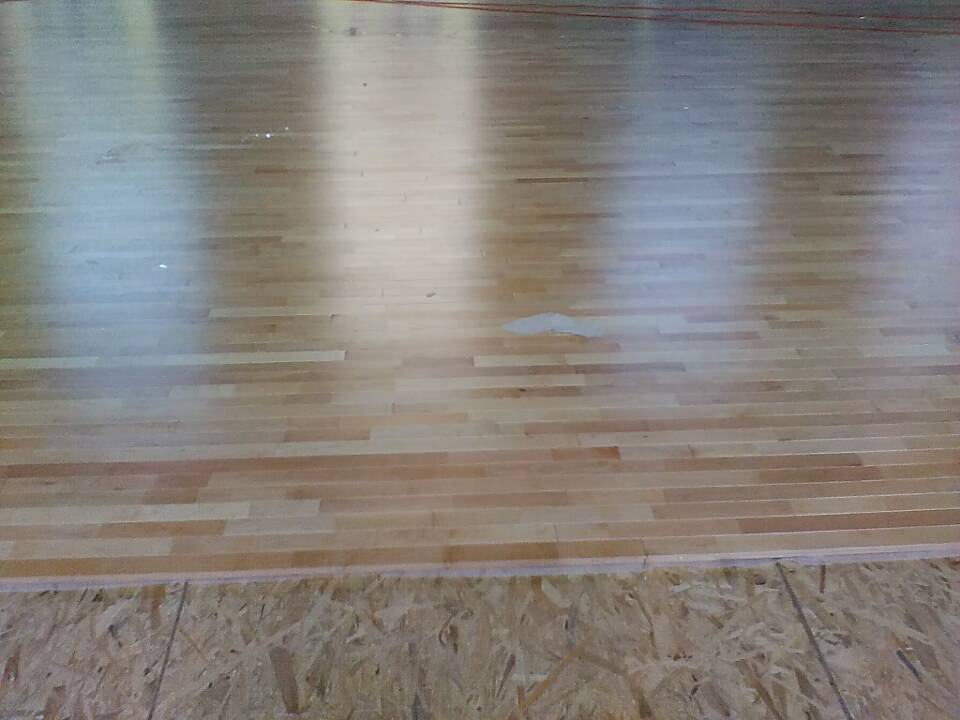 體育木地板,運動木地板 體育木地板,運動木地板