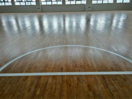 運動木地板 運動木地板