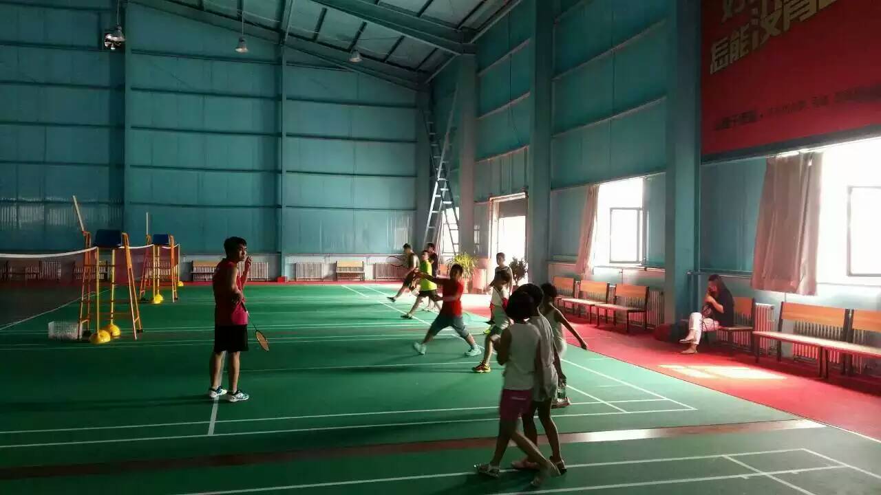 運(yùn)動(dòng)木地板 運(yùn)動(dòng)木地板