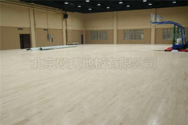 運(yùn)動(dòng)木地板 運(yùn)動(dòng)木地板