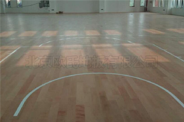 運(yùn)動(dòng)木地板 運(yùn)動(dòng)木地板
