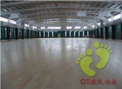 雙層結(jié)構(gòu)體育館用運動木地板